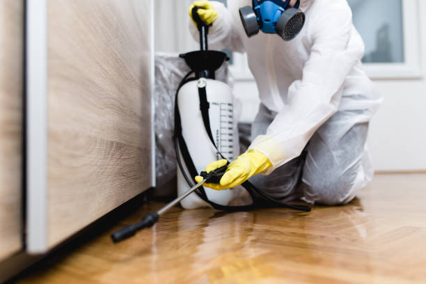 Best Exterminator Services  in Edcouch, TX